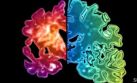 Científicos proponen prueba cutánea para detectar Alzheimer