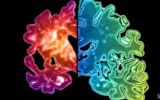 Científicos proponen prueba cutánea para detectar Alzheimer