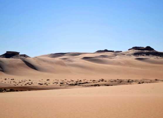 La Amazonía necesita del desierto Sahara para sobrevivir