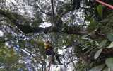 Google Maps ahora te lleva de viaje por la Selva Amazónica