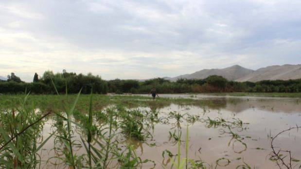 FOTO LOCALIDAD CHOSICA LIMA PERU foto localidad chosica lima peru: