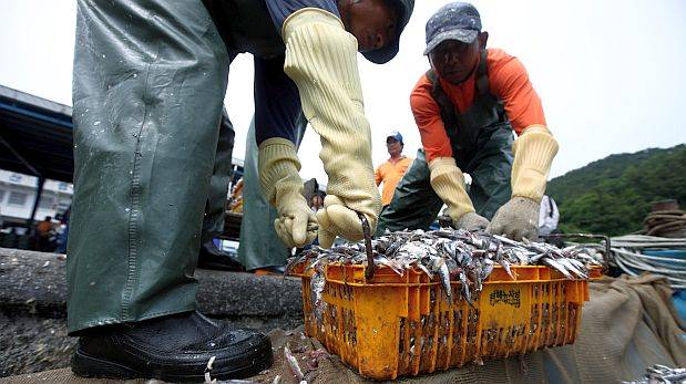 Produce suspendió pesca de anchoveta por tres días 
