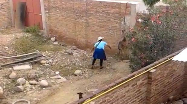 Mujer cuelga a un perro y lo mata tirándole ladrillos [VIDEO]