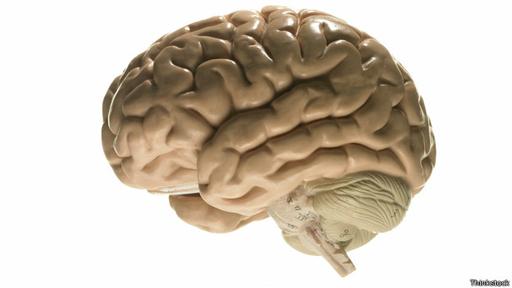 Los lóbulos del cerebro del genio eran excepcionalmente grandes.