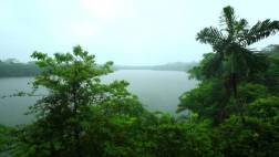 Cinco extranjeros se perdieron en la selva de Madre de Dios