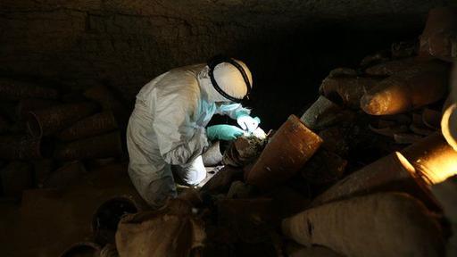 En una de las catacumbas los investigadores hallaron dos millones de aves momificadas.