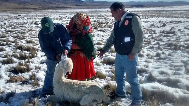 Declaran en situación de emergencia a tres provincias de Puno