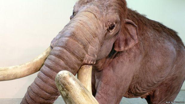 Un abrupto cambio climático causó la desaparición de los mamuts