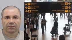 Vinculan a 'El Chapo' Guzmán con droga sembrada en Lima