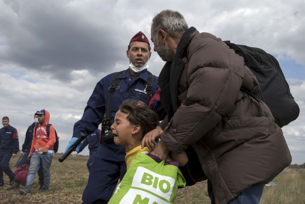 A Hungarian policeman attempts to stop a migrant and a child to run from a collection point in Roszke village, Hungary, September 8, 2015. REUTERS/Marko Djurica