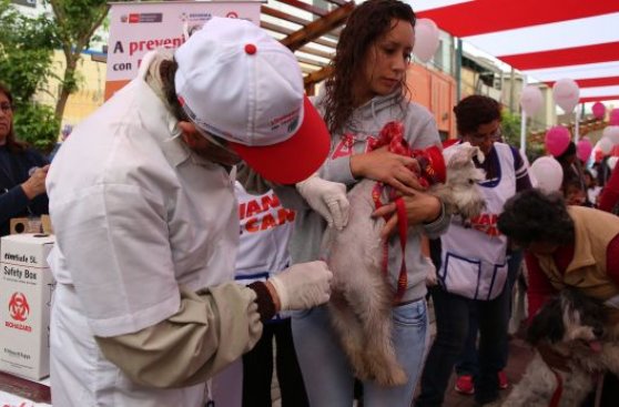 La Libertad: unos 1.800 perros serán vacunados contra la rabia