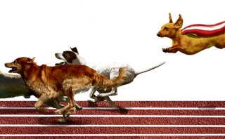 Del ‘outsider’ al ‘underdog’, por Alfredo Torres
