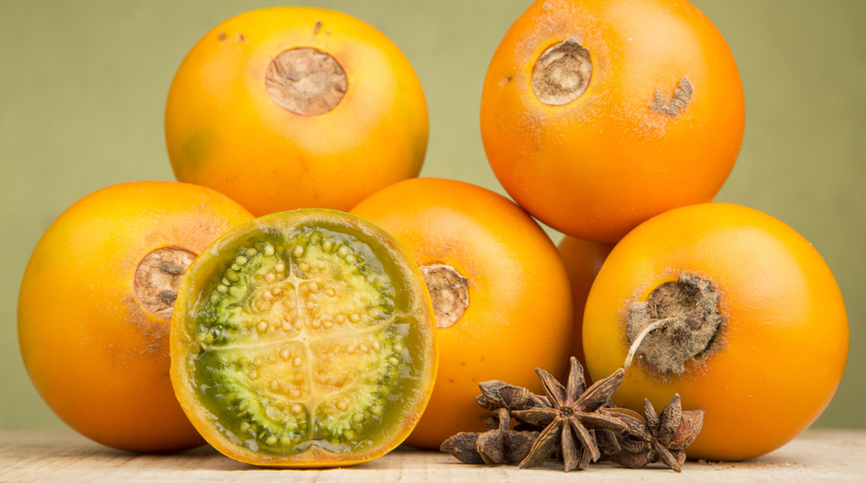 (Foto: Shutterstock)