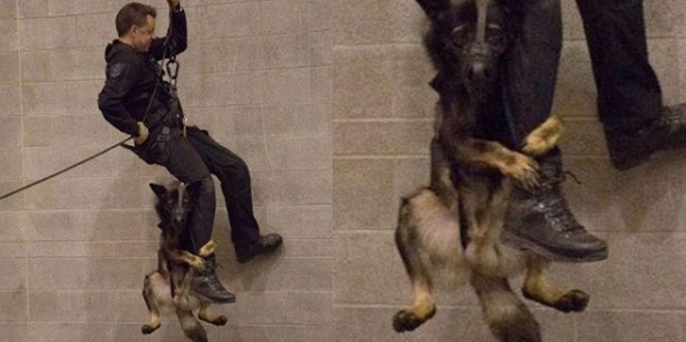 ENTRENAMIENTO POLICIA VIDEO entrenamiento policia video: