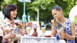 Cuatro lugares en Lima a los que puedes ir con tu mascota