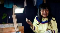 Las plantas que "dieron luz" a la selva amazónica en el Perú
