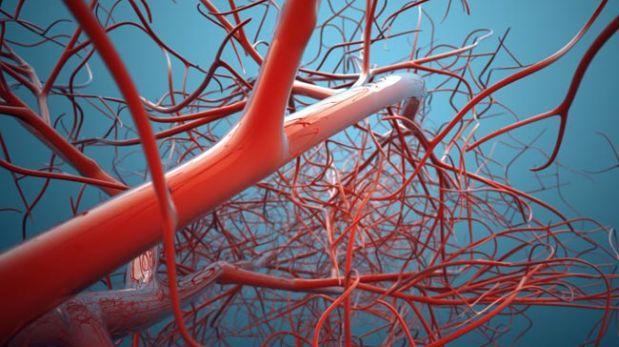 Científicos crean el vaso sanguíneo más delgado del mundo