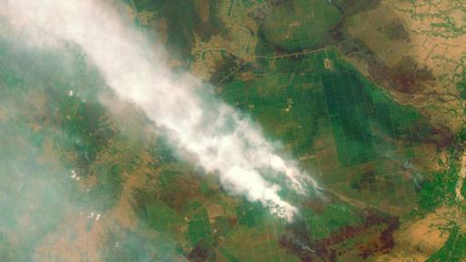 Los incendios forestales en Kalimantan, Indonesia, se han convertido este año en un serio problema en el sureste asiático. (BBC)