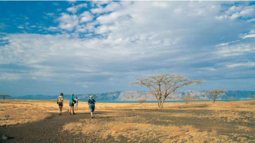 Hoy en día el lago Turkana está rodeado de un paisaje desértico. (Foto: Images of Africa Photo)