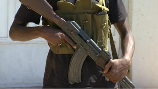 Muchas otras armas fueron saqueadas de las reservas libias durante la guerra civil.