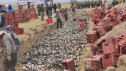 Otra vez municipio de San Román destruye miles de licores