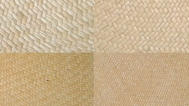 En esta imagen se puede apreciar la diferencia de la finura de la paja en distintos tejidos. (Foto: sitio web de Brent Black)