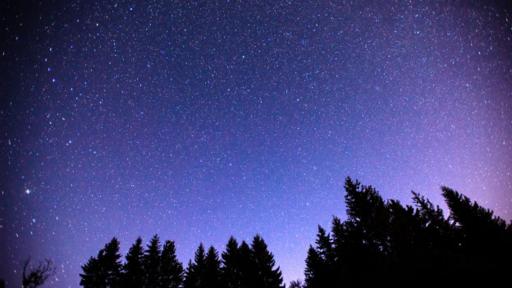 El lugar de observación tiene que estar despojado de árboles y con un cielo oscuro.