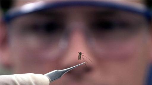 Los científicos trabajan para dar con la fórmula ideal de lidiar con los mosquitos portadores de enfermedades. (Foto: Getty)