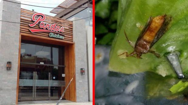 Clienta halló cucaracha en plato y Pardos Chicken cerró local