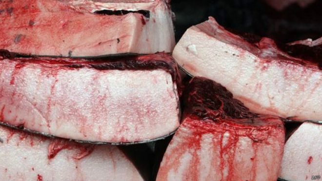 ¿Está perdiendo Japón el gusto por la carne de ballena? (Foto: AFP)