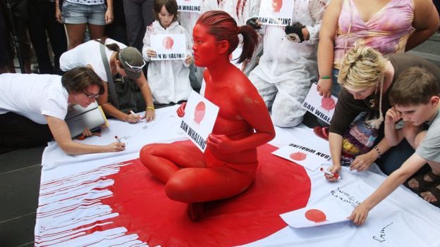 Las protestas en Japón en contra de la caza de ballenas no son extrañas. (Foto: BBC Mundo)