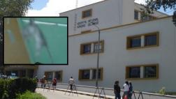 Encuentran una rata dentro de hospital de Arequipa