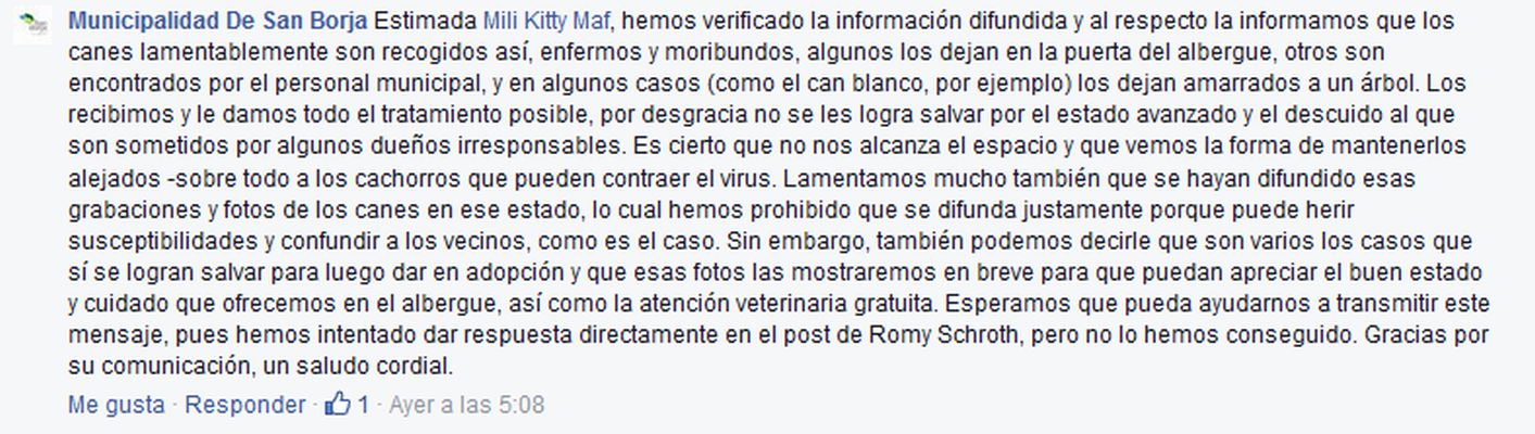 Respuesta de la Municipalidad de San Borja ante denuncia de Facebook (Captura)