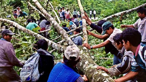 Evo Morales forjó su carrera política entre bloqueos de carreteras y marchas en contra de la erradicación de plantaciones de coca en el Chapare boliviano.