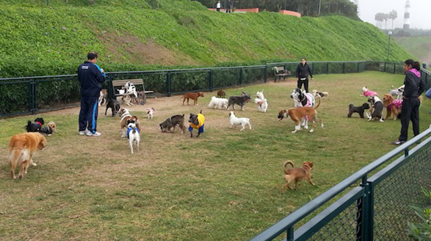 Área canina en el Parque Yitzhak Rabin, ubicado en pleno malecón de Miraflores.