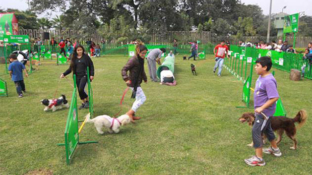 Play Land Can, parque exclusivo para perros ubicado frente al Pentagonito, en San Borja.