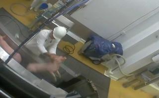 Escándalo en Francia por maltrato animal en matadero ecológico