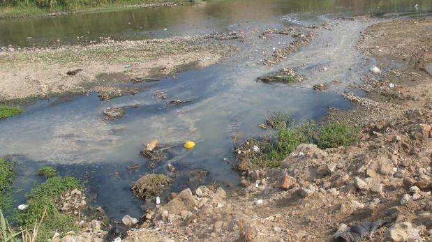 Puno: investigan muerte de peces y anfibios en río Imata