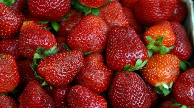 Fresas podrían impulsar diversificación productiva de Tacna
