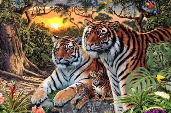 Facebook: nuevo reto visual ¿cuántos tigres ves en esta imagen?
