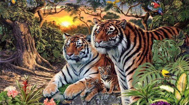 ¿Cuántos tigres ves? Base_image