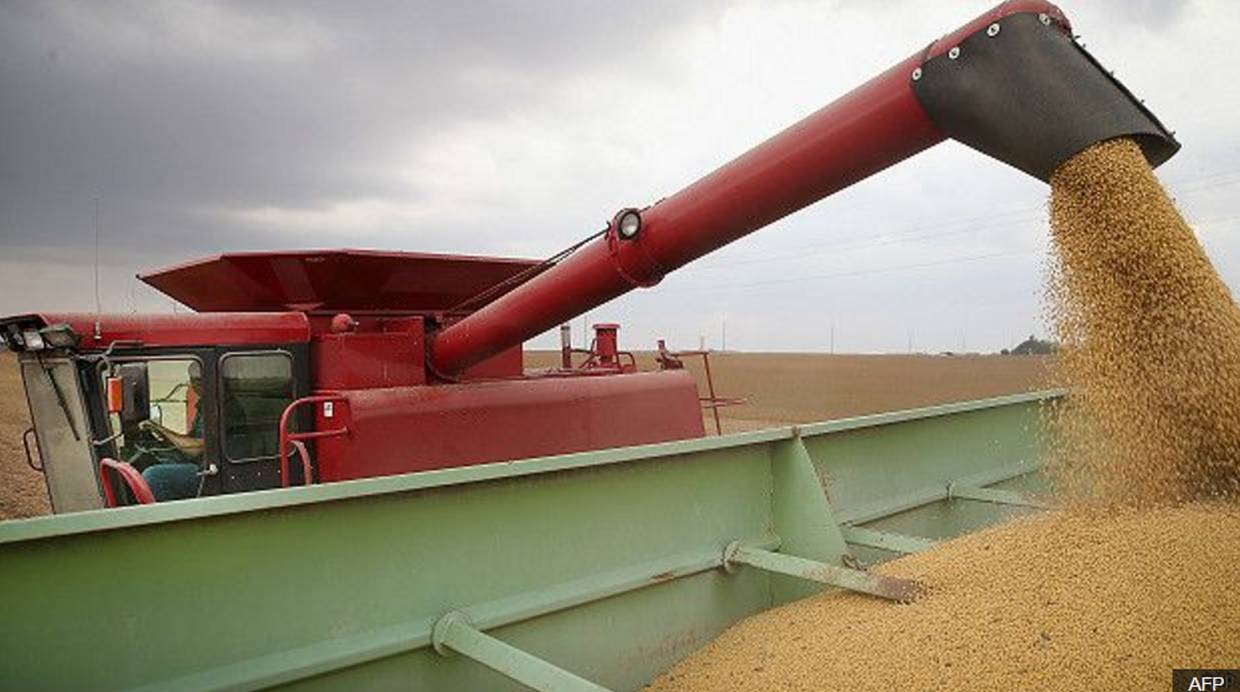Partes importantes de la producción de soja argentina se comercializan en el mercado