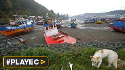 Chile: alertan que marea roja se extiende hacia el norte