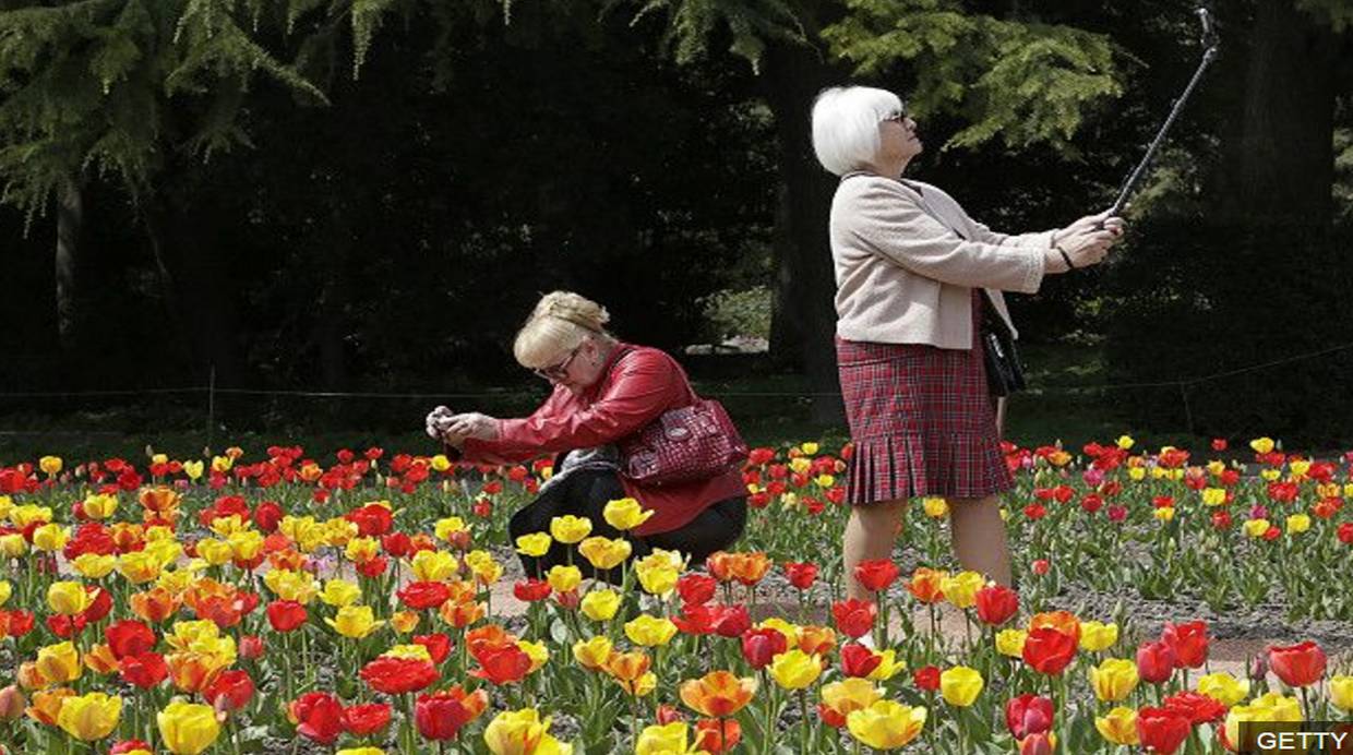 Tulipanes vs iPhone... (Foto: BBC Mundo)