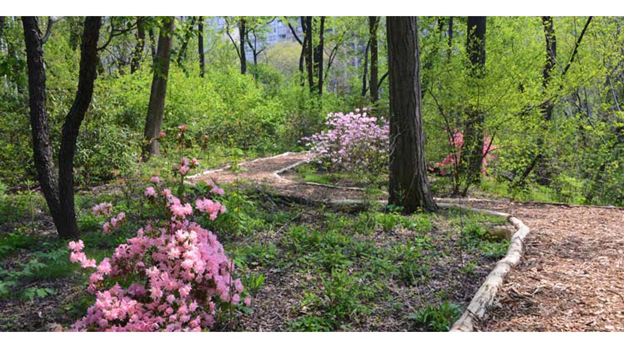 (Foto:centralparknyc.org)