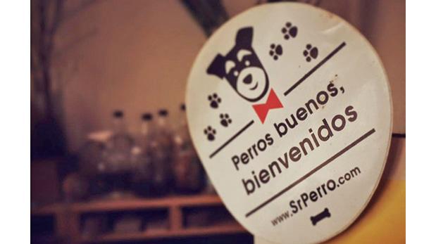 Aquí tus mascotas son más que bienvenidas