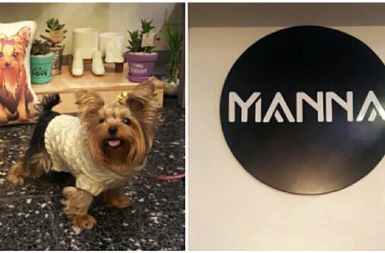 Aquí tus mascotas son más que bienvenidas