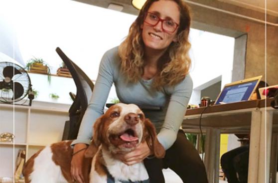 Aquí tus mascotas son más que bienvenidas