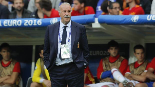 Vicente del Bosque podría dejar la selección española