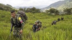 Colombia: FARC suspende reclutamiento y cobro de "impuestos"
